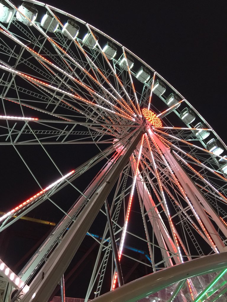 rustysatellite's tweet image. Rusty is ready for @SkystarWheel   And there’s a line to get on