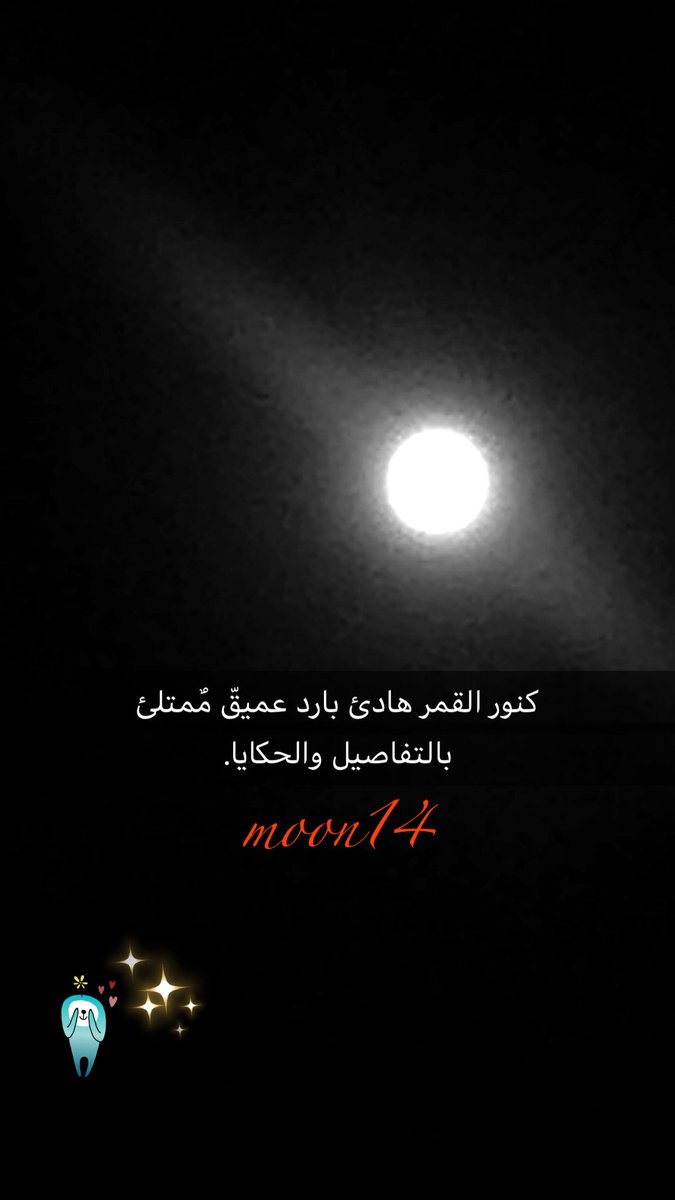 🌸moon14🌸