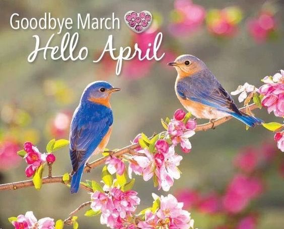 #HelloApril ♥️