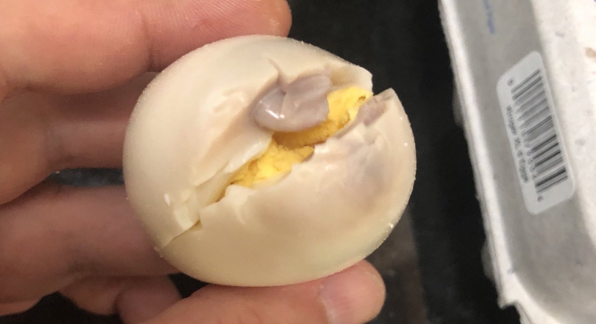 Jeremy Bronson on Twitter "Found a chicken fetus in my hardboiled egg