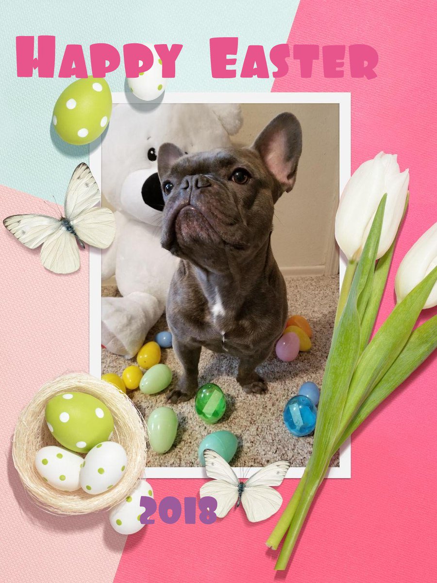 happy easter french bulldog