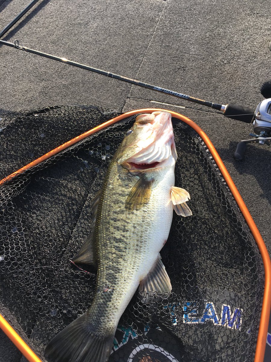 今年初！春来たかー！