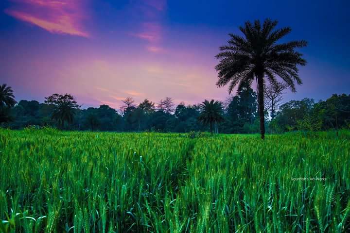 BiharBytes's tweet photo. Beautiful landscape of Dumari, Gobarsahi ❤️
P.C Saurabh Shrivastava
#Biharbytes #parnaites #coloursofbihar https://t.co/475wF80Lmi