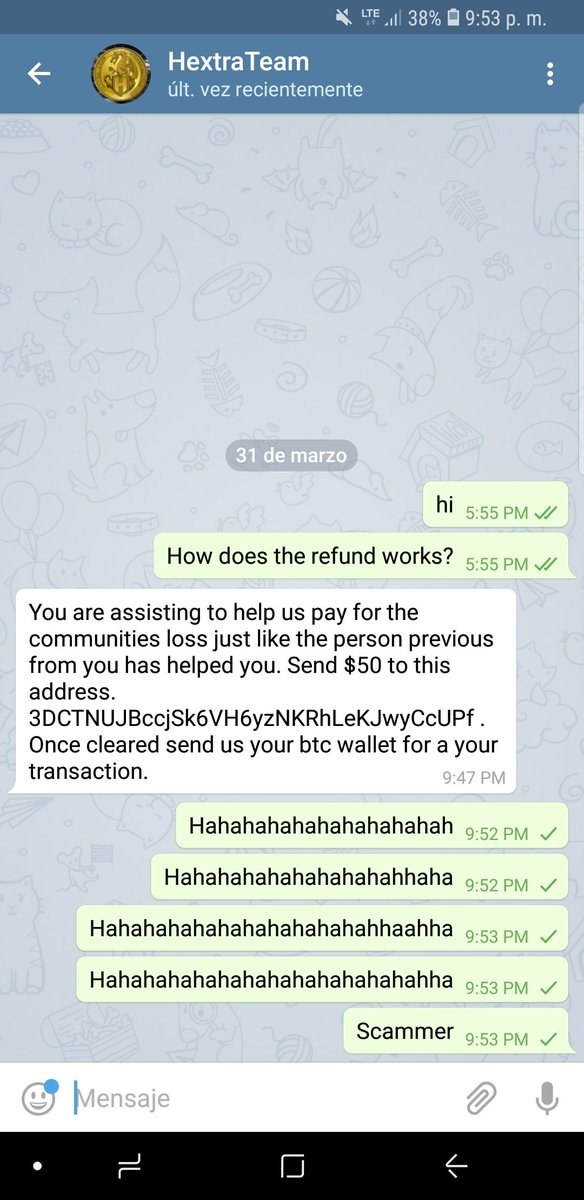 BTCfrog tweet media