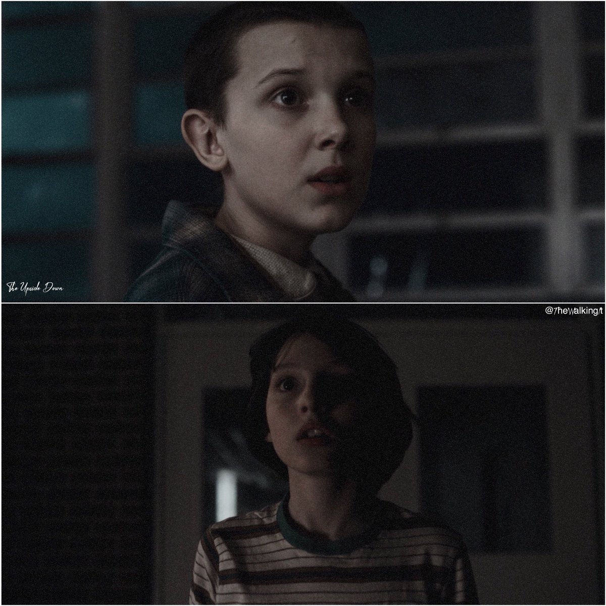 New edit on Instagram, <a href="/thewalkingit/">❤️🧡💛💚💙💜💗</a> #StrangerThings @milliebbrown <a href="/FinnSkata/">.</a>