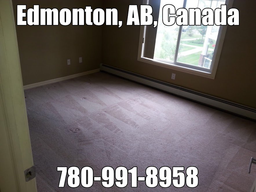 #Carpetcleaningservice accepting new clients.  #yeg #edmonton #stalbert #sprucegrove #sherwoodpark #fortsaskatchewan