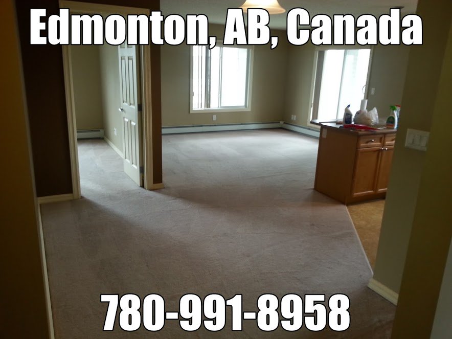 #Carpetcleaningservice accepting new clients.  #yeg #edmonton #stalbert #sprucegrove #sherwoodpark #fortsaskatchewan