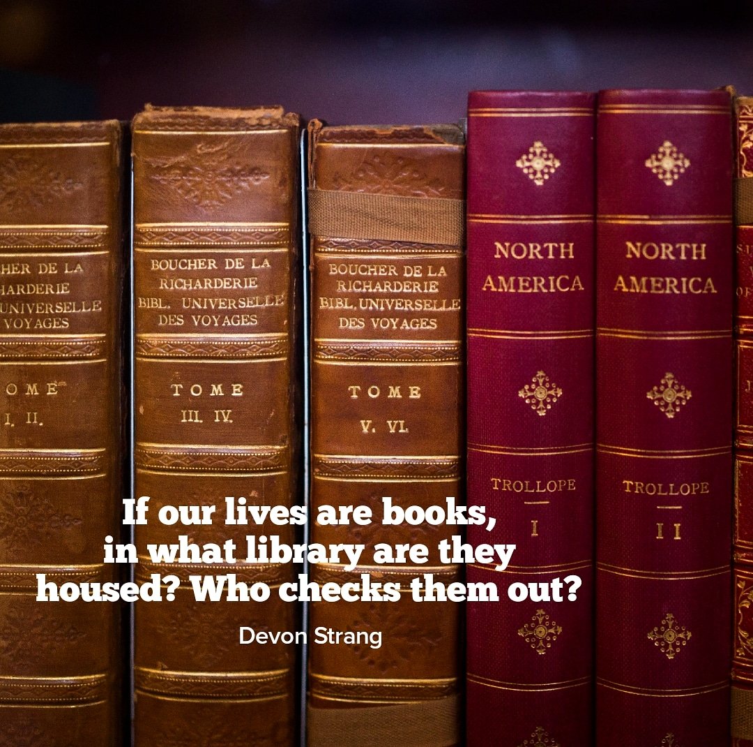 devonstranger's tweet photo. Daily Haiku 969. (c) Devon Strang #haiku #dailyhaiku #devonstrang #spilledink #poet #poem #poetry #write #writer #writing #love #life #live #book #books #library #librarybook #read #reading #lovebooks https://t.co/4RWbm6SZQk