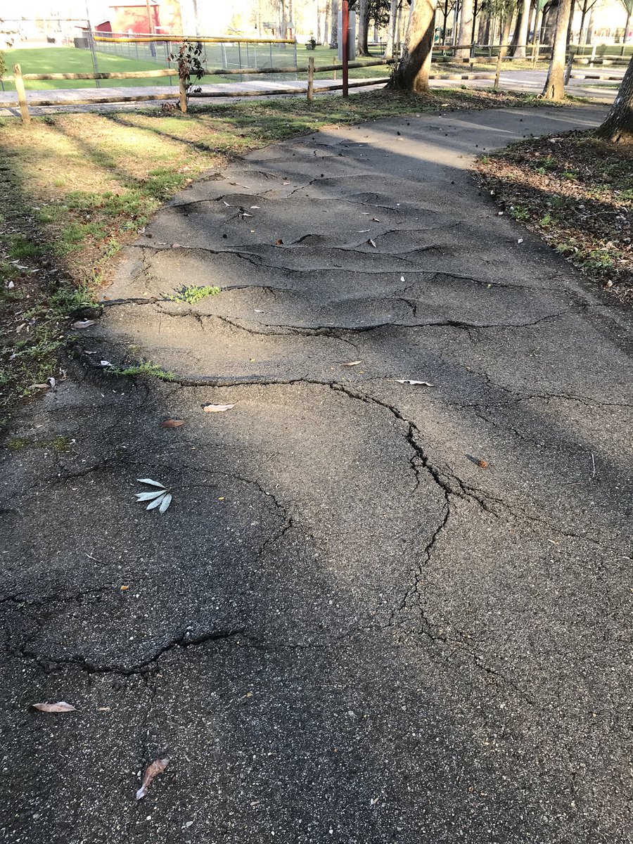 missmac100's tweet photo. @dailystem @FarkasSTEM @ImagineerSTEAM @jsnhubbard @Science4UsSays @MrDPitt @MolnarTony @atkauffman @JeffreyJCollier @blocht574 At my parents house for the weekend so I had a different place to walk. I didn’t see roots but this pavement was definitely bumpy. Just a few steps forward totally smooth. #stemwalk #science #nicedayforawalk https://t.co/eLbQzOOVUC