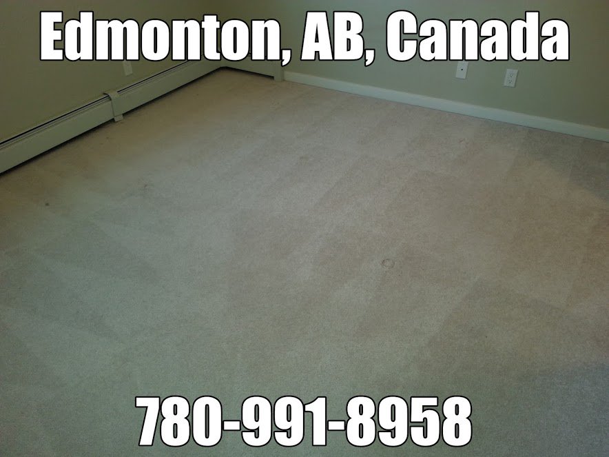 #Carpetcleaningservice accepting new clients.  #yeg #edmonton #stalbert #sprucegrove #sherwoodpark #fortsaskatchewan