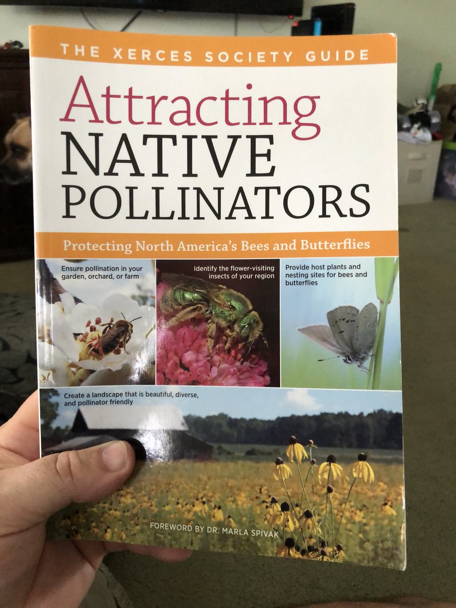 Yay! My attracting native pollinators book finally arrived @xercessociety #nativepollinators