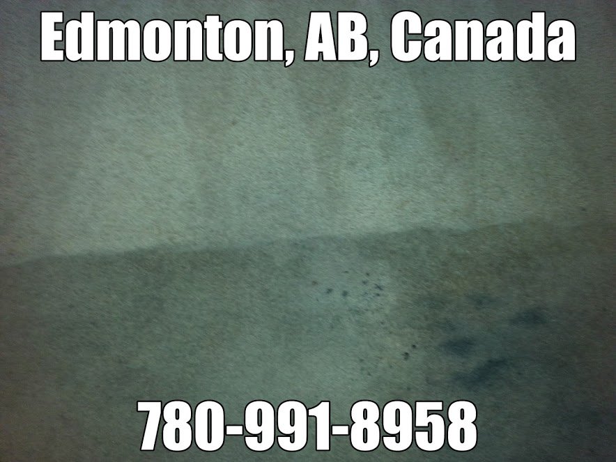 #Carpetcleaningservice accepting new clients.  #yeg #edmonton #stalbert #sprucegrove #sherwoodpark #fortsaskatchewan