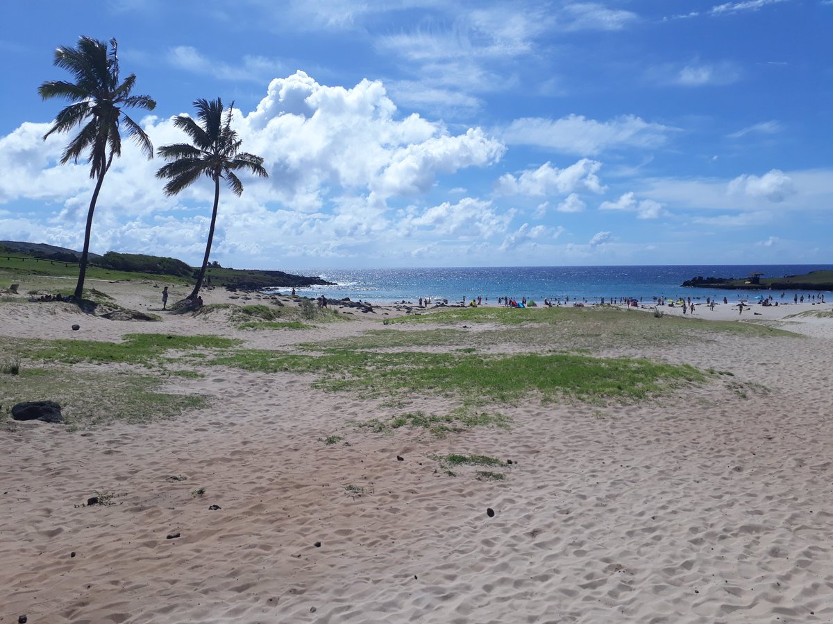 Mathew Paul | BaseApp CM tweet media