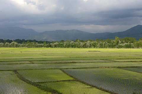 #Ganderbal farmers told skip #paddycultivation this year

bit.ly/GK280486