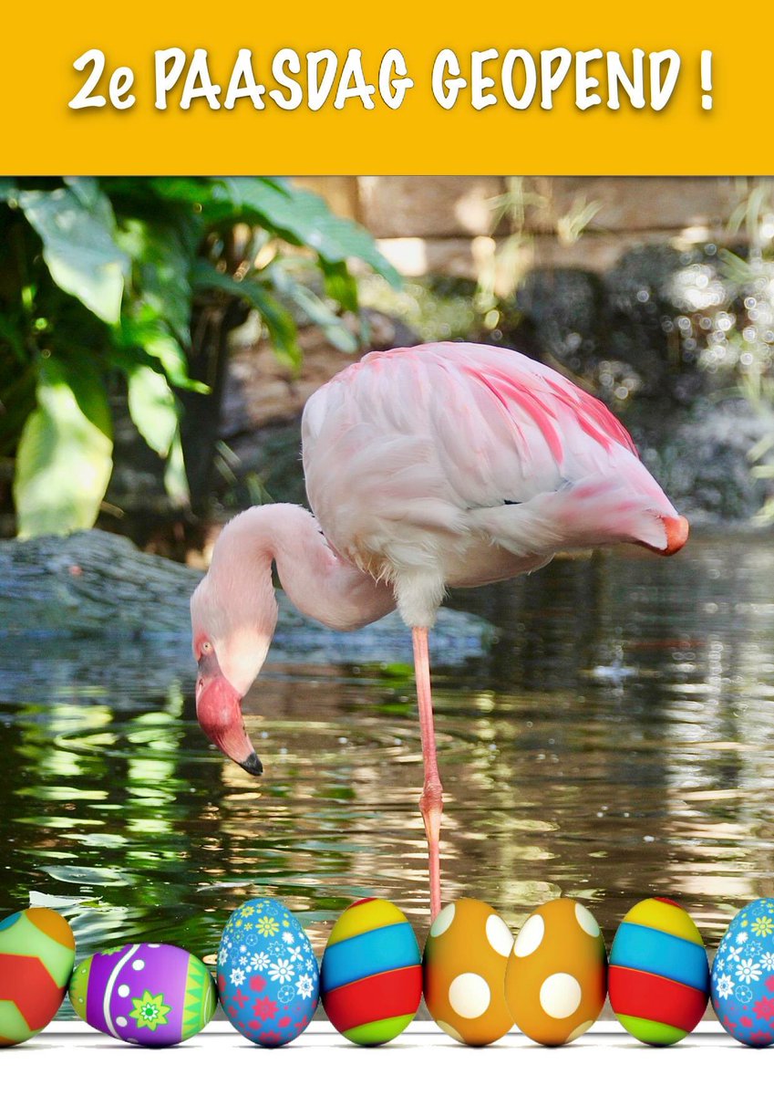 Tot Avonturia ! #tweedepaasdag #DenHaag #geopend #pasen