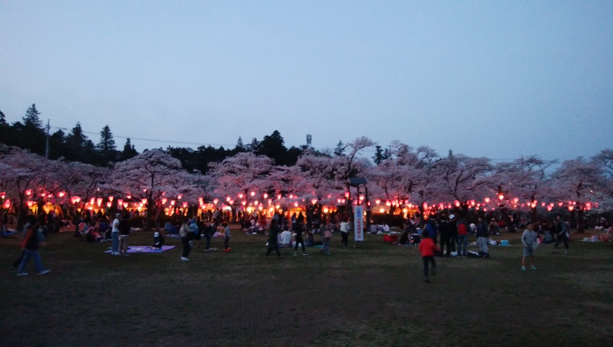 飯能中央公園 Twitter Search