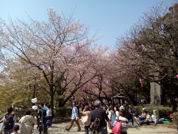 日本一短いモノレールと面白遊具の宝庫 飛鳥山公園 日本最大級のsns映え観光情報 スナップレイス
