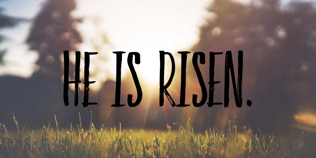QMSKarlaEstrada's tweet photo. But the angel said to the women, “Do not be afraid, for I know that you seek Jesus who was crucified. He is not here, for he has risen, as he said.” Matthew 28:5-6 https://t.co/Cvr6I07MMi
