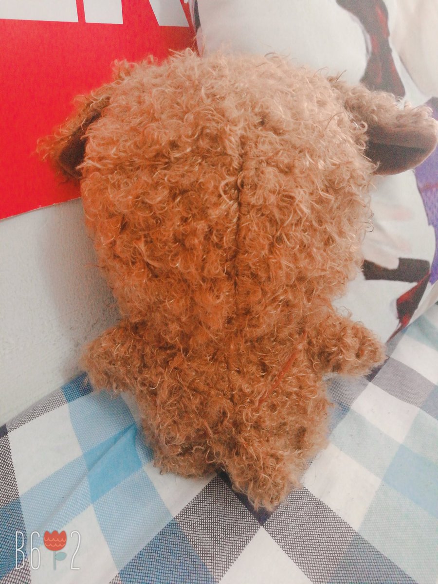 coldsummer0606's tweet photo. #HAECHAN
#해뽀 #haeppo
🐻➡?
卷毛小狗狗ο(=•ω<=)ρ⌒☆ https://t.co/i5jlMUTvsc