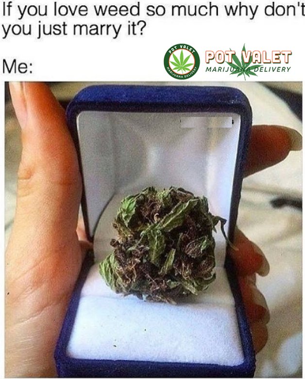 If you love weed so much why don’t you just marry it? 
.
.
#vacaville #potvaletvacaville #potvalet #SolanoCounty #Marijuana #Cannabis #Proposition64 #LegalizeIt #PotValet #California #MedicalMarijuana #MarijuanaMovement #MarijuanaFacts #CBD #cannabisedible #medicalcanna