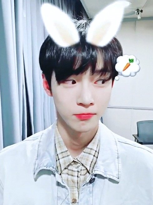 요비 tweet media