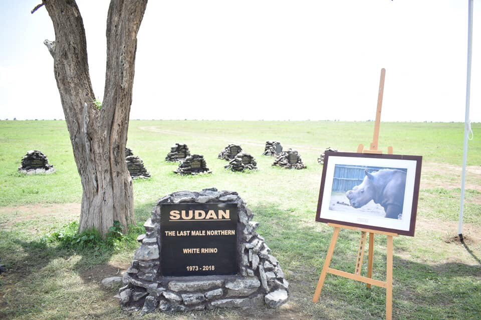 au_voix's tweet photo. #SudanForever #TheLastOne #EXTINCTION #HumansFailed https://t.co/zsbZh87pUO