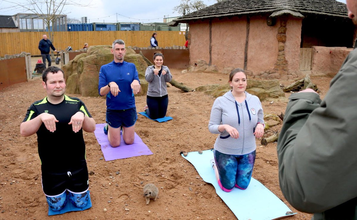 YorkshireWP's tweet photo. Popular 'Animal Yoga' CRAZE hits YWP! 

'Animal Yoga' is the perfect way to connect with your inner animal. We are excited to offer guests the opportunity to experience natural zen while emulating postures of their favourite YWP animals. Full story 👉  https://t.co/WHFmpgDsgd 😊 https://t.co/tHf1zRUAoy