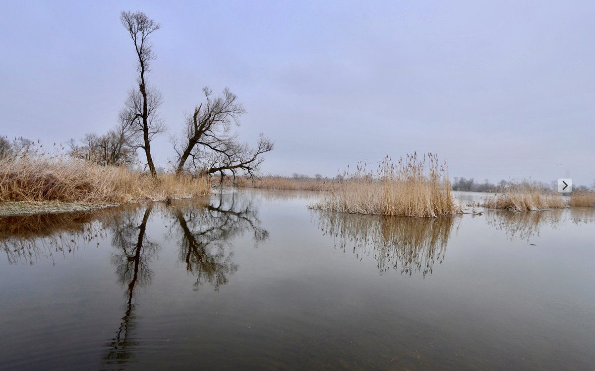 „ What a wonderful world „

Louis Armstrong
youtube.com.convey.pro/l/rlR0rmg by #afteraliceband via <a href="/c0nvey/">Convey</a>