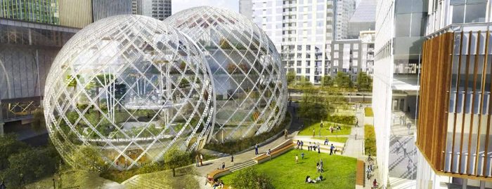 Frida Efari tweet media