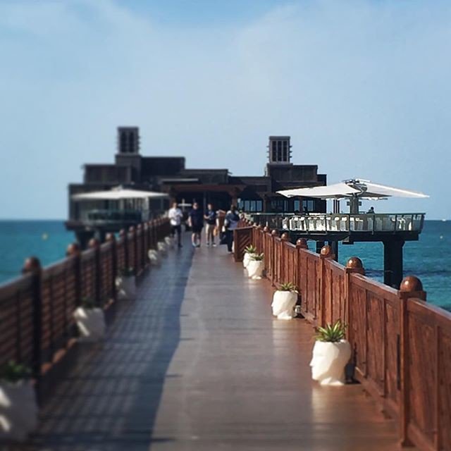 paraphernalia12's tweet photo. It's the weekend! 😊 Where are you brunching today? 🥗🍣🥘🍤🧀🥖🌮
.
.
#brunch #dubai❤️ #institution #everyfriday #somewhere #pierchic #... https://t.co/cS2KsgwQ9O