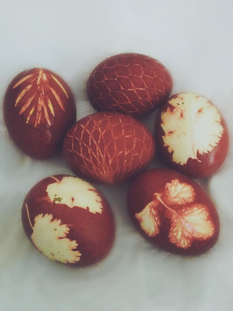 marauder_J's tweet photo. Lookie here, what easter brought about! My baby dragon eggs! π The one with squarish scales is Norbert - he's a Norwegian Ridgeback - and the other one is a Hungarian Horntail! πβ€π²π Happy Easter! ππ€
#EasterPrep #NewTraditions #NotPaint #Organic #HomemadeMagic #DragonEggs https://t.co/TqkWV59YzF