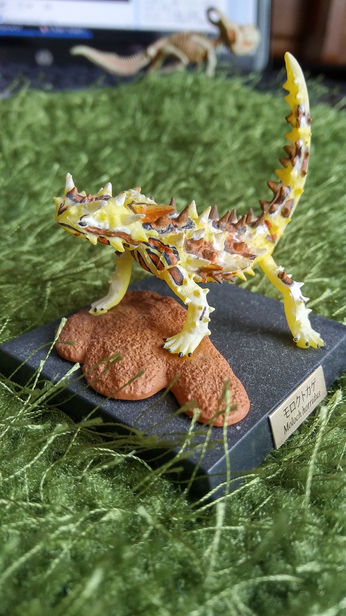 カタスミ Miガチャが無いからトカゲガチャ モロクトカゲはカワイイなあ T Co Xiirapodfx Twitter