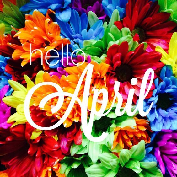 coconut_box's tweet photo. #HelloApril https://t.co/bhYR00ntht
