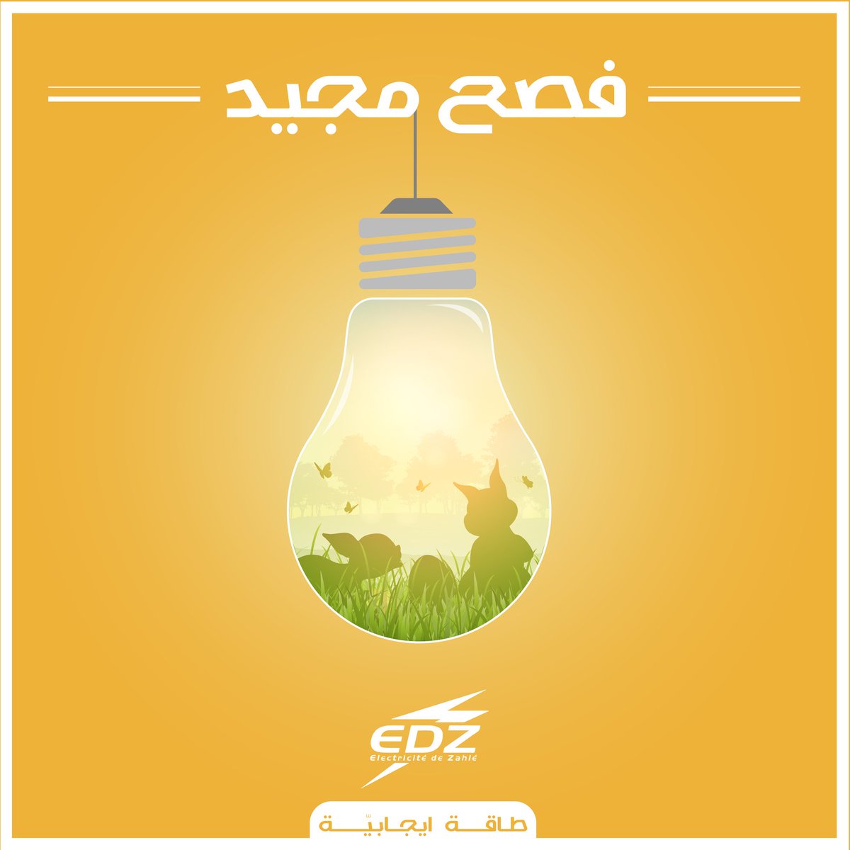 Electricite De Zahle tweet media