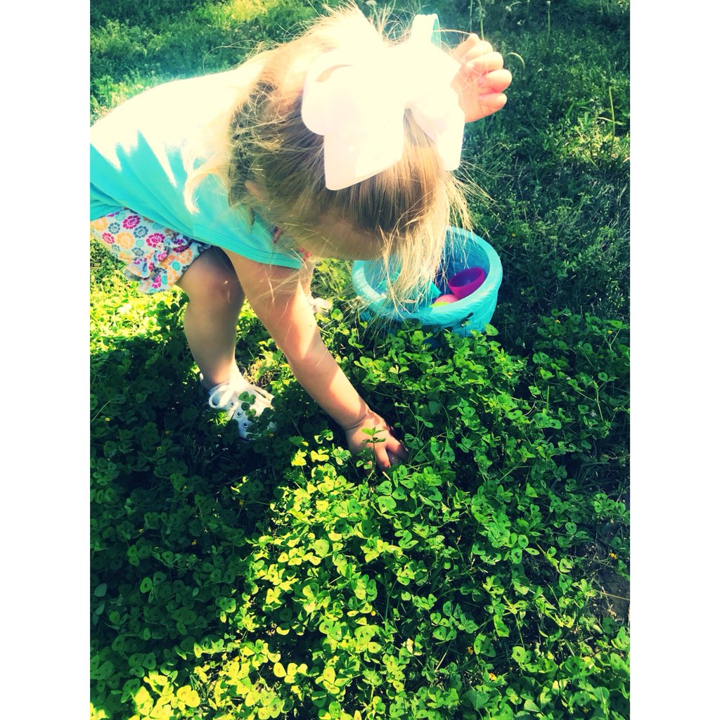 Stephanie tweet media