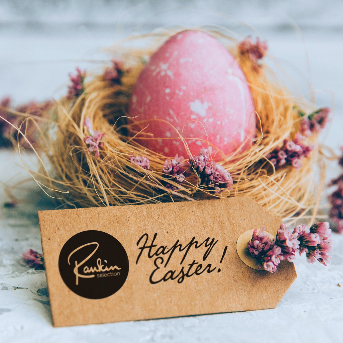rankinselection's tweet photo. Happy Easter Everyone, don't do anything foolish ;) #AprilFools 

Have a wonderful day, watch out for the Easter bunny! https://t.co/2oxDJ26H8J