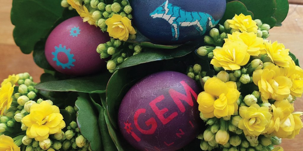 Happy Easter everyone!