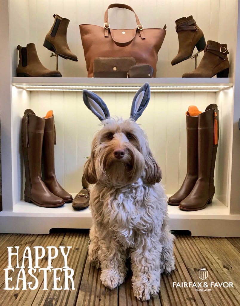 Digby, our handsome hound from our accounts department would like to wish all of our customers a very happy Easter! 🐣 🐰 💐 #FairfaxAndFavor #HappyEaster