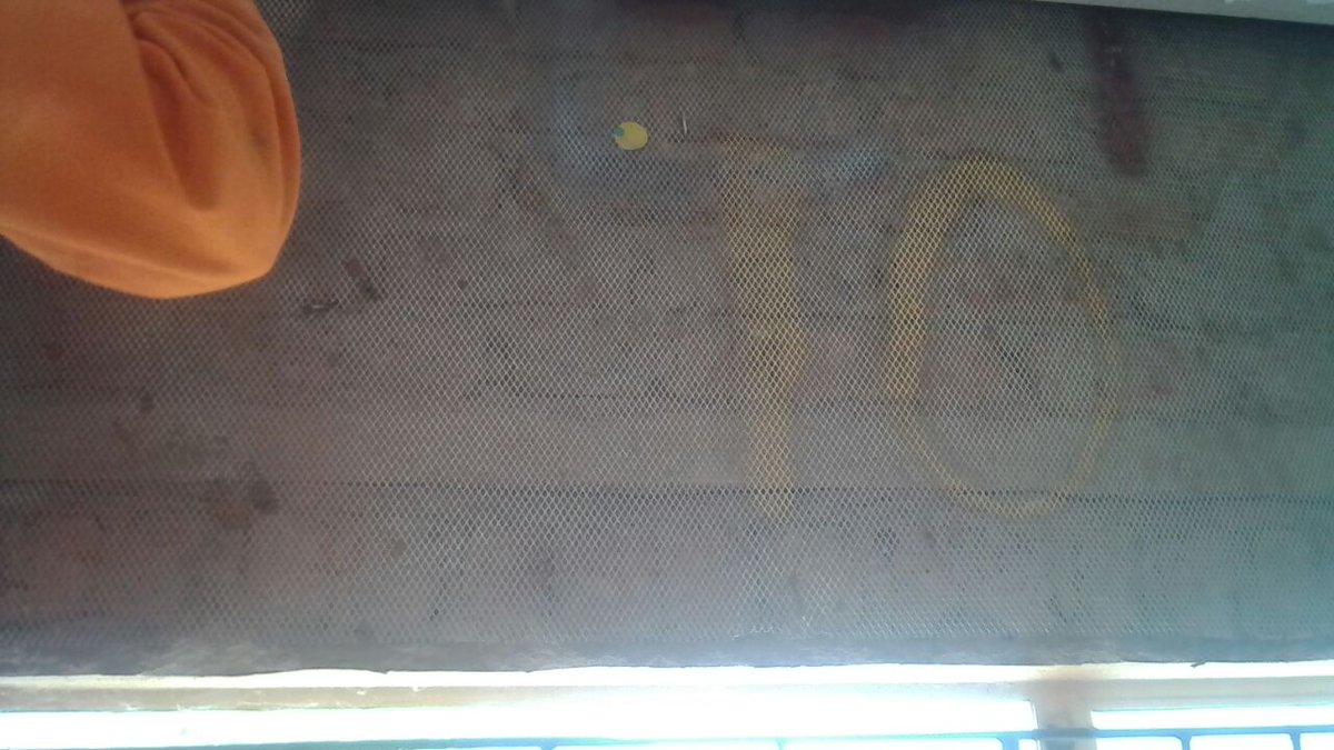 ActionVoices's tweet photo. Moshabi Selowa wrote on the 13th Mar: All the cracks are to be repaired by using the mash wire to close them, and the last floor compaction was done today Mmakanaga civil earth work. The refurbishing work by Chisa Multi project and the walls looks nice but only time will tell. https://t.co/JXM1DjOeTX