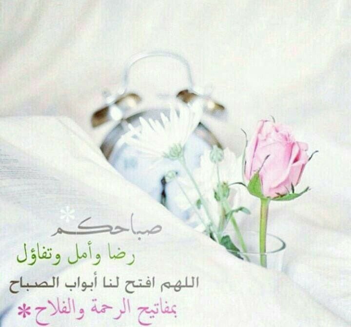 taalaa81's tweet photo. اللهم أكتب لنا محو الذنوب ، وستر العيوب ، ولين القلوب ، وتفريج الهموم  ، وتيسير الأمور ،
             اللهم آمين....
        صباح الخير https://t.co/qb7fPYsLzh