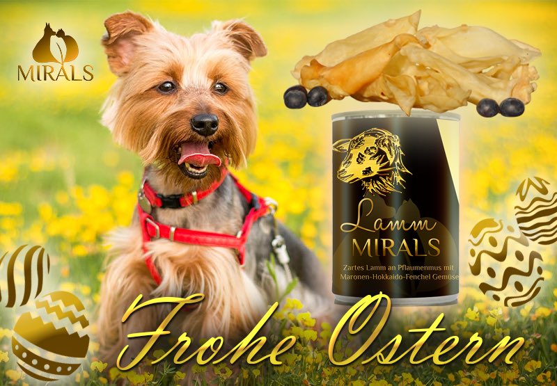 _mirals_'s tweet photo. Wir wünschen Euch frohe Ostern 🐣�� 
#FroheOstern #Ostern2018 #mirals #hund https://t.co/9RBf6gCbkz