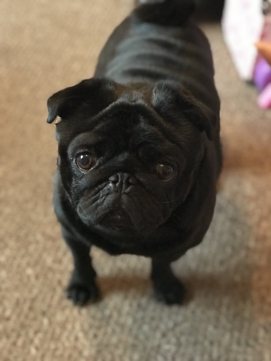 bryonymayh's tweet photo. Happy 3rd Birthday to this beautiful boy! 😍😍 https://t.co/O69x8mPmXq