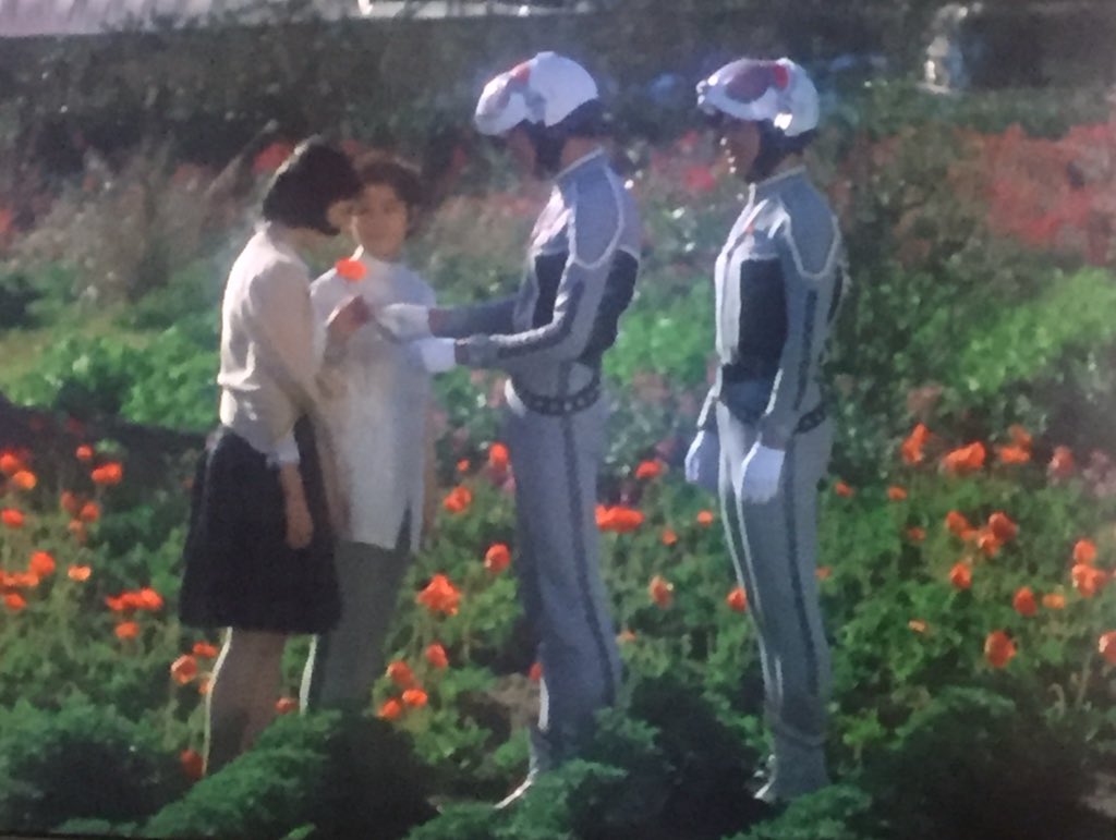 悪魔の住む花 悪魔の住む花