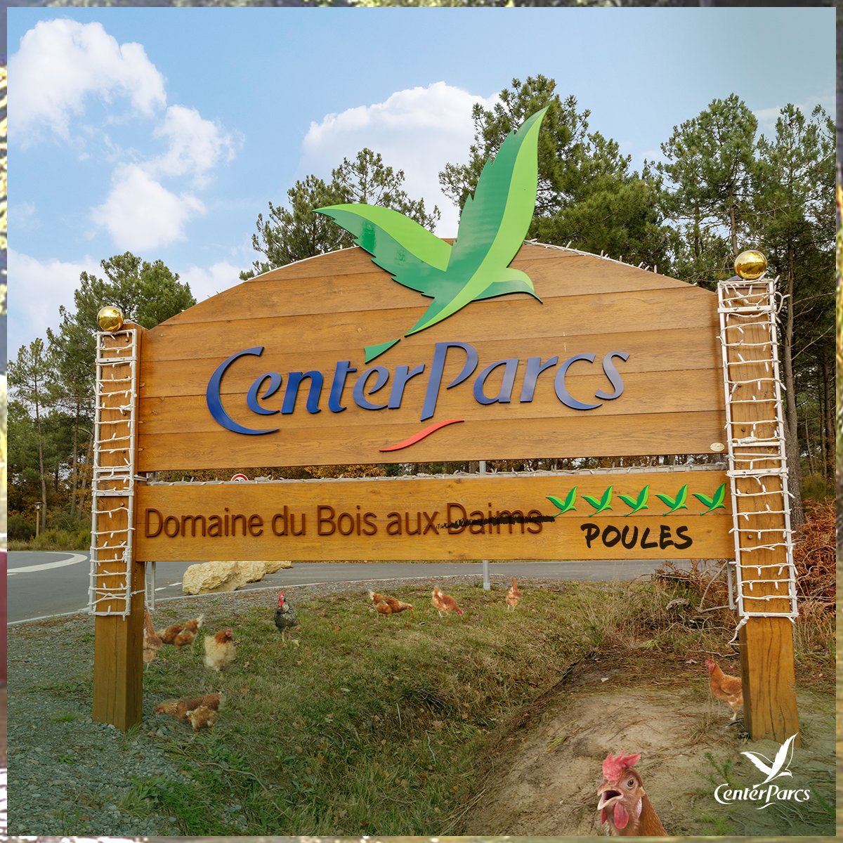 Center Parcs France tweet media