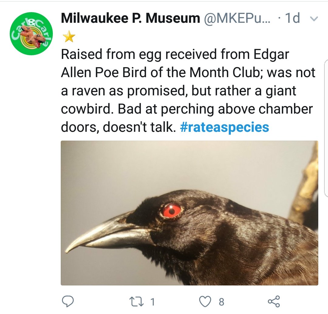 So I'm late to the party but I cant stop scrolling through the #rateaspecies hashtag. I'm going to remember this for when I need emergency cuteness.