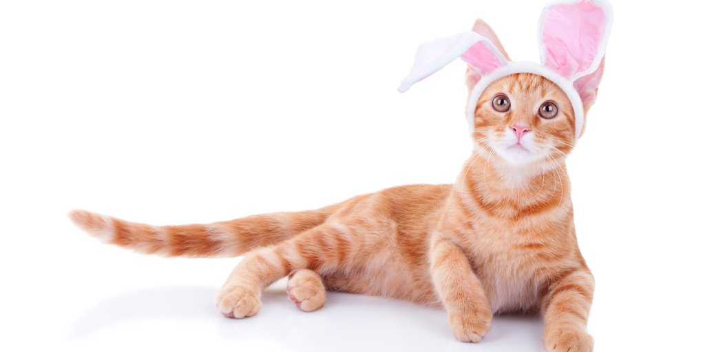 Keys 2 Community tweet media