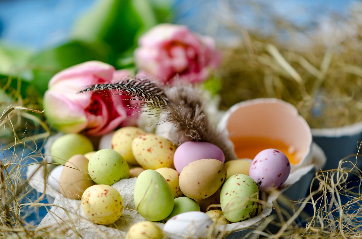 IndianFoodZone's tweet photo. Warm Easter wishes to you and yours from all of us!

We hope you have an 'eggcellent' one.

#indianfoodzone #easter #ifzoninsta #happyeastertoall #easter2018 https://t.co/xpWG9IGSmx