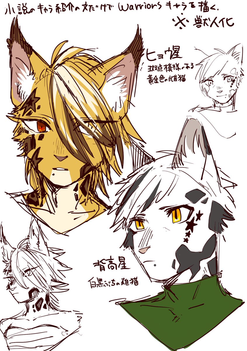 猫ゴコロ 第1章最終巻っていうのかな シーズン1 6っていうのかな そこのキャラ 紹介文となんとなくのイメージでウォーリアーズキャラを描いてみたんだが うん 火星と灰縞が相変わらず安定しない あとは落書き ウォーリアーズ 獣人化 毎回獣 猫ゴコロ 第1章最終巻っていうのかな シーズン1 6っていうのかな そこのキャラ 紹介文となんとなくのイメージでウォーリアーズキャラを描いてみたんだが うん 火星と灰縞が相変わらず安定しない あとは落書き ウォーリアーズ 獣人化 毎回獣