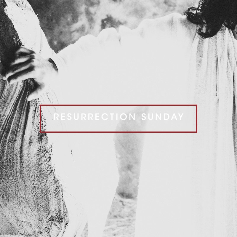mycschurch's tweet image. You are not alone—our Saviour is undefeated in every arena you can possibly imagine—especially in the one you find yourself in! – Warren Wiebe 
Read more at instagram.com/mycschurch #mycschurch #lent18 #whatislent