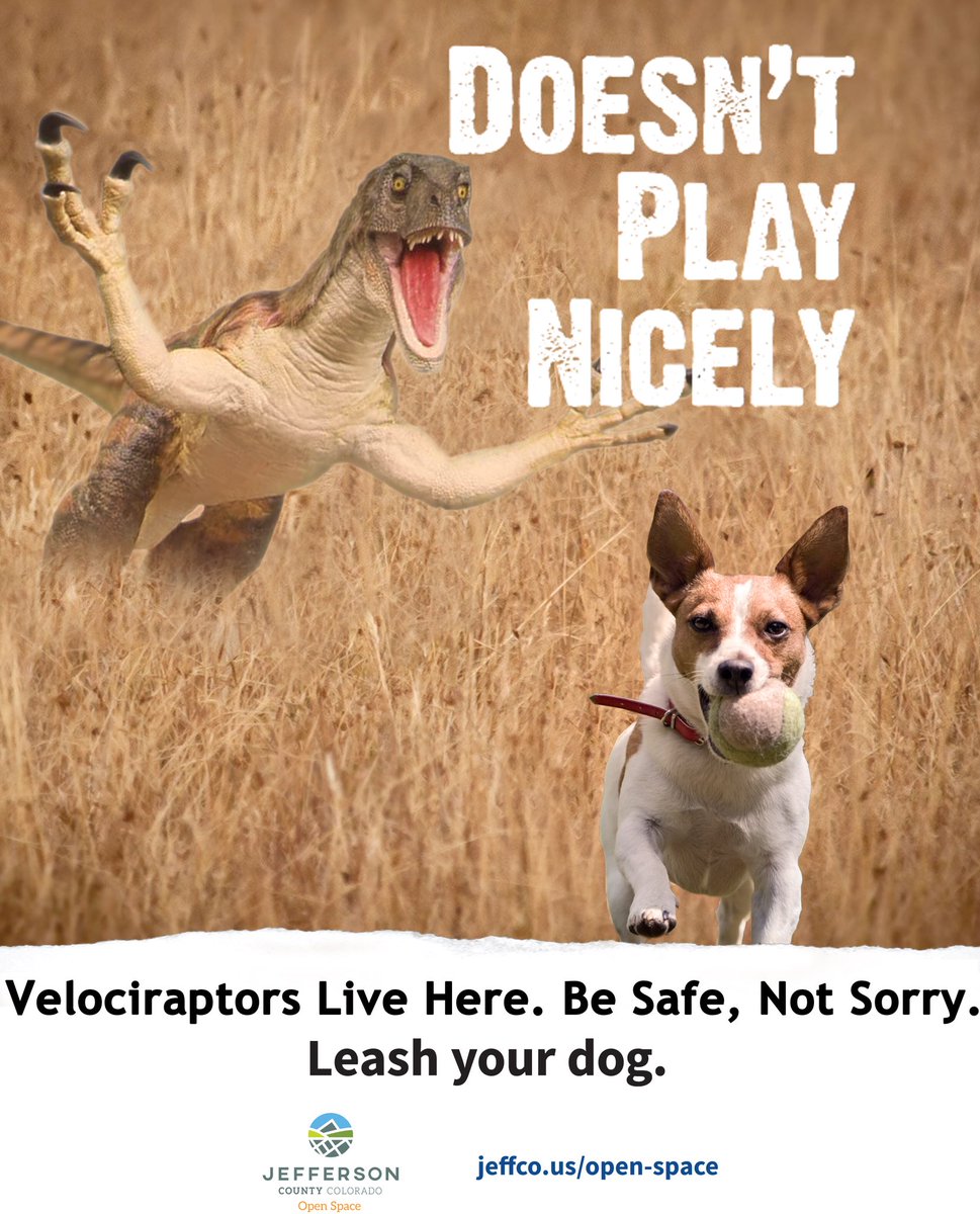 JCOSRanger1's tweet image. 4/1: #velociraptor activity reported @ Matthews/Winters Park @DinosaurRidgeCO keep pets leashed &amp;amp; be aware of your surroundings #oneearout